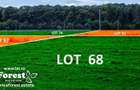 Loturi de la 720 mp, intre 2 paduri, eForest, acces asfaltat din DN1A - 1