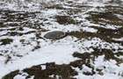 Teren Construcții de 6000 mp, în Ghimbav - 2