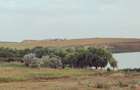 Teren extravilan de 5451 mp, în Năvodari - 4