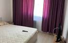 Apartament cu 3 camere decomandat în Cantacuzino - 13
