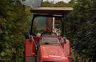 Teren extravilan in Baicoi 10.000mp plantatie mure --80.000e - 2