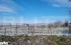 PROPRIETATE AGRICOLA PREMIUM 5 HECTARE CU LIVADA DE NUCI (CHANDL - 3