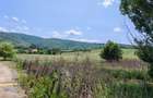 Teren intravilan de 7800 mp, în Dobârlău - 1