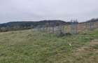 Teren Construcții extravilan de 1000 mp, în Feleacu - 6