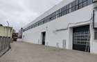 Spațiu industrial, de 2,560 mp, în Șagului - 3