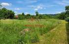 Teren intravilan in Brebu-- 3399mp--81.500e - 11