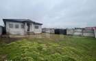 Casa plan parter 100 mpu, teren 450 mp, Malu Mare - 10