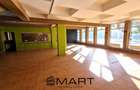 Spatiu comercial 140 mp zona Aria Turnisor - 2