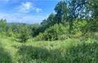 Teren de 10000 mp, în Căzănești (Milcoiu) - 1