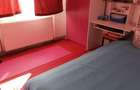 Apartament cu 3 camere decomandat în Lugoj - 6