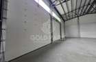 Spatiu Comercial/Hala - Baciu - Constructie Noua/Parcare - 23