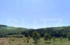 Teren 10200mp , toate utilitatile , la 10 km de DEJ - 3