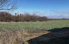 Teren Construcții de 17000 mp, în Ghighiu - 1