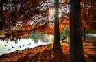 Parcul Carol - Tineretului - 2 camere si 40mp curte - 7