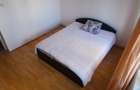 Apartament cu 3 camere decomandat în Lenin - 8