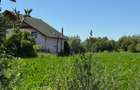 Teren intravilan de 2000 mp, în Hălchiu - 5