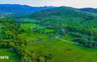 Teren 3000 mp | ?inca Noua | Rau | Cadrul natural superb | Comision 0 - 1
