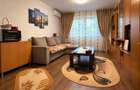 Apartament cu o camera, 22 mp utili, etaj 2, mobilat- Telegrafului - 2