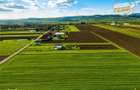 Liniste si aer curat in proximitatea Municipiului Sfantu Gheorghe - 7