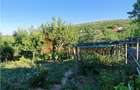 Casă individuală cu 3 camere cu Teren 2545 Mp în Năeni - 24