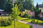 Vanzare Vila langa padure/ Iancu Nicolae - 2