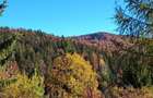 Teren la munte intre Breaza si Sinaia - 1