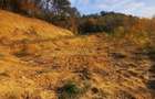 Teren intravilan 2 nivele PUZ spatii comerciale si locativ 1500 respectiv 2000 mp - 11