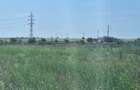 OCAZIE !EFORIE NORD  TEREN DE 1.666 MP PRET 199.000 EURO - 1