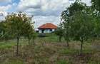 Casă cu 4 camere cu Teren 1508 Mp în Timișoara - 7