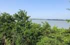 PRET REDUSTeren intravilanFurcenii Noi, jud. Galati. 2200 mp Lat 24m - 5