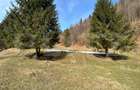 Teren exceptional de vanzare, 5170 mp  zona Plaiul Foii, Zarnesti