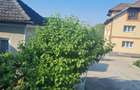 Imobil la 4km de Rm Valcea in Budesti -Linia - 9