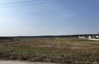 Teren de 2500 mp, în Grădiștea - 1