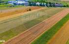 Teren Extravilan Cu Plantatie De Trandafiri De Damasc! Teliu 7000 Mp!