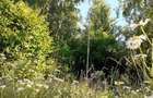 Baile Chirui ,teren 34500 mp , cabana 3 camere curent si apa ,5,5 Euro mp - 9