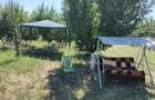 Teren intravilan 1200 mp+casuta de gradina si anexe Cascioarele, Ulmi - 7