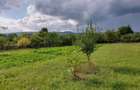 Teren intravilan ESTELNIC, jud. COVASNA - 3