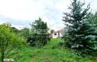 Casa din Caramida + 4000 mp teren central Drajna Ogretin! - 6