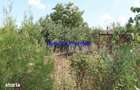 Casă cu 2 camere cu Teren 1400 Mp în Cobadin - 7