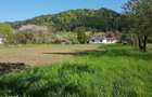 Casa din barne cu teren la Mures - 13