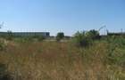 Prelungirea Ghencea - Toamnei, 1000 mp - 7