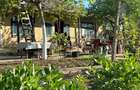 Direct proprietar: Casa demolabila + teren 1167 mp - 6