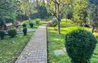 Teren + cabana, spre vanzare,/ inchiriere in zona Tudor - 13
