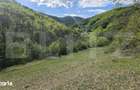 Teren extravilan, 9.083 mp, peisaj superb si liniste totala, zona Mete - 6