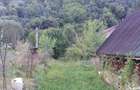 Teren de vanzare Brezoi, Pascoaia, Valcea - 3