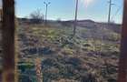 Teren loturi Mihailesti, Stalpu-Giurgiu - 3