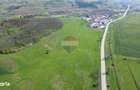 Teren de vanzare sau inchiriat 19ha intravilan, Agnita,Sibiu - 6