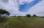 Teren extravilan, 114000 mp, Parc industrial West Park - 7