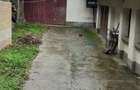 Vand casa de locuit, sat Braznic, com. Ilia, jud. Hunedoara - 1