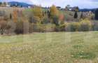 Teren intravilan, 4000 mp, zona Panaci - Vatra Dornei